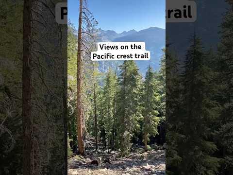 The PCT is life changing.