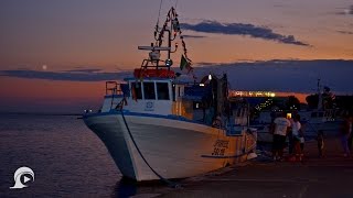 preview picture of video 'Pesce in Piazza il mercato del gusto di Porto Cesareo | InOnda WebTv'