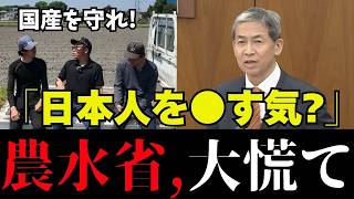 【国産米が消える】日本人は知って！参政党の木下議員、神谷議員が日本の農業を守るべく熱く語る【農家を守れ /国産米/農業/自民党/減反政策 /日本の主食米問題/令和の米騒動/百姓一揆/農林水産省】