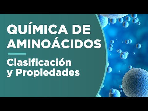 AMINOÁCIDOS: clasificación y propiedades