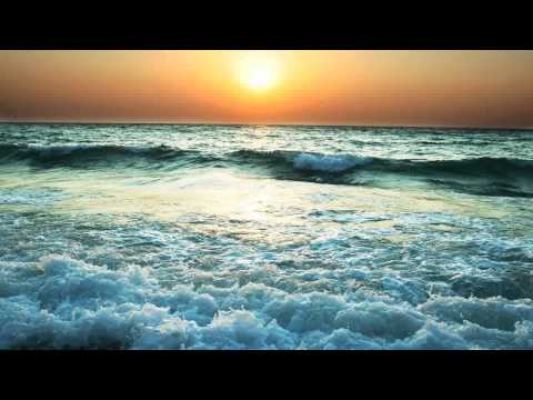 Akira Kayosa & Will Watson pres. Osaru - Osaru (Original Mix)