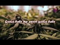 Ganja Babe Lyrics- Michael Franti & Spearhead
