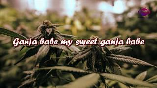 Ganja Babe Lyrics- Michael Franti &amp; Spearhead