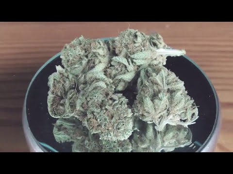 Fazi feat Kara , Gajowy  - Pufu Pufu (Prod.ImmortalBeats)