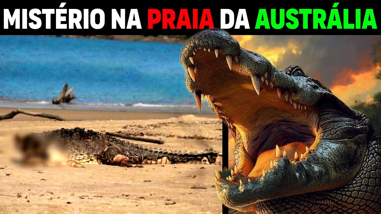 MYSTERY! 13-foot HEADLESS crocodile washes up on beach in Australia