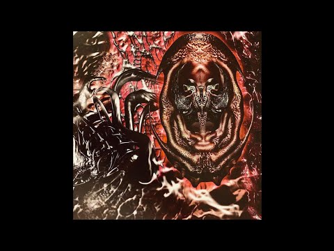 INSANITY - 901 CRVNK & 1xplains