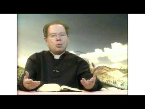 O Pão Nosso 19 Fevereiro 2016   -   Pe. F. C. Cardoso .