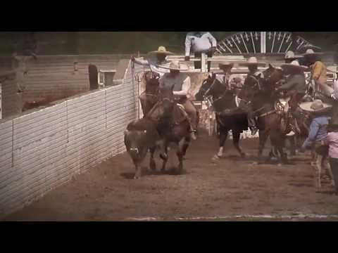 Toño Aceves!! Coleadas coleadero colotlan equipo La Colonial de Jerez