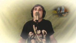 Let&#39;s pretend AWBH cover played by Tim and C