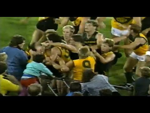 All in all Brawl AFL Fight/Melee SANFL Grand Final Richard Champion