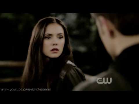 vampire diaries: houses