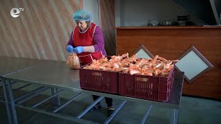 БЧК Кърджали реализира програмата „Топъл обяд“ за 30 деца от Ардино