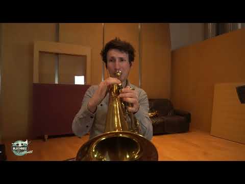 BLECHREIZ BRASS QUINTET 2024 (LIVE) - Balkan Fever