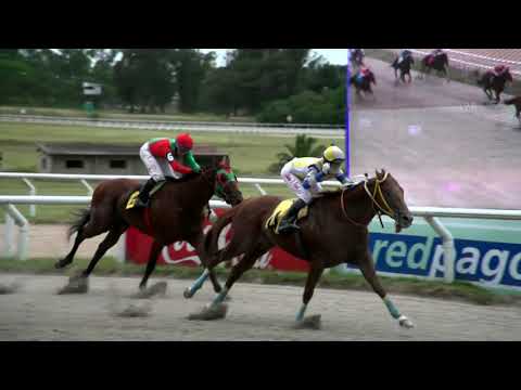 211203 c09 - ACTOR - HIPODROMO LAS PIEDRAS - PREFERENCIAL "HARVARD"