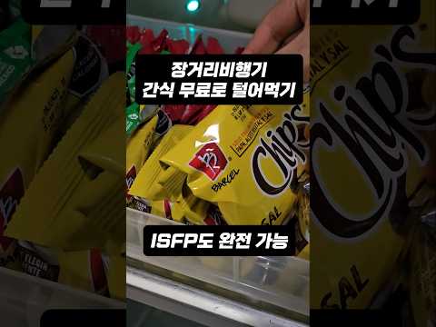 장거리 비행 시 간식 전략: 경제석에서 살아남기