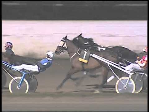 Trotto 15/01/2015 - 8° Corsa  TRIS