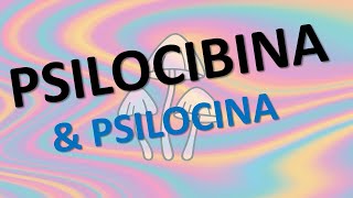 Download lagu PSILOCIBINA Funghi e Sinapsi La Rivoluzione Psichedelica mp3