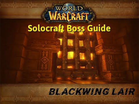 Blackwing Lair SoloCraft Guide - My Most Consistent Bot Comps