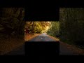 Road Nature Video Beautiful Video Amazing Short Video