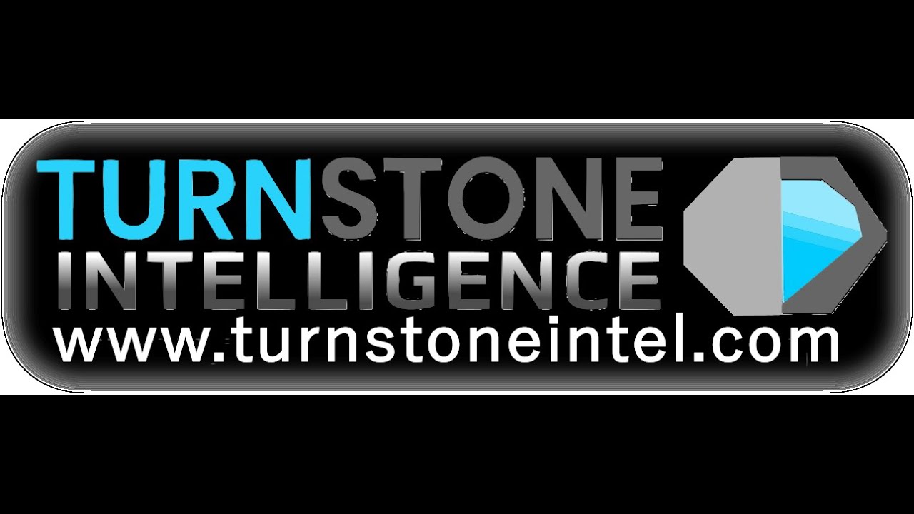 In‌troduction to Turnstone Intelligence