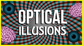 How and Why do Optical Illusions Work?