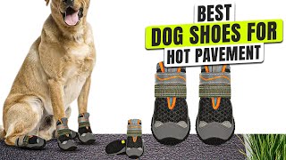 3 BEST Dog Shoes For Hot Pavement - Don’t Let Their Paws Get Burned!