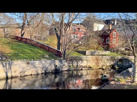 Sweden walking tour: Norrtälje river on a beautiful November day 🇸🇪