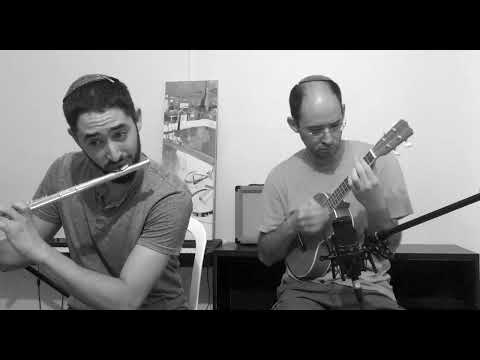 Samba Ukulele by Allison Young & Joshua Lee Turner (Cover)