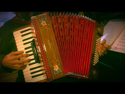 33 Castiglione Wood LMM