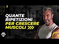 How Many Repetitions Do You Need To Do To Build Muscle