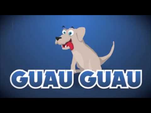 PULCINO PIO   El Pollito Pio Official)   YouTube