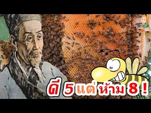 คำถามของ potencies การเยียวยาชาวบ้านเพื่อเพิ่มความแข็งแรง