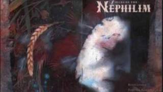 Fields of the nephilim - Shine