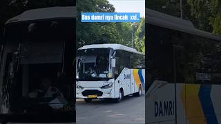 Download lagu bus damri nan lincah #bus #damri #telolet #terminal #basuri mp3 Download lagu bus damri nan lincah #bus #damri #telolet #terminal #basuri mp3