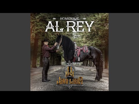 Soy Como Quiero Ser, Sangoloteadito