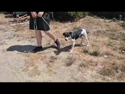 Vídeo de MIU