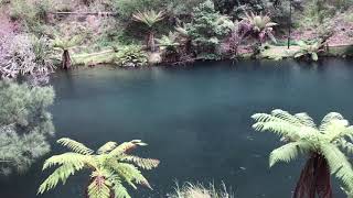 preview picture of video 'Jenolan Caves 4WD Adventure'