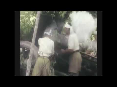 Japanese invasion of Malaya