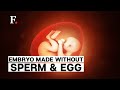 Scientists Create Artificial Human Embryo With a Heartbeat