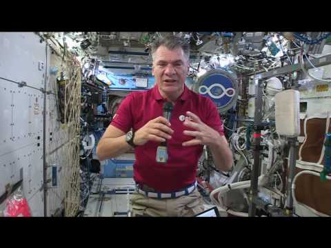 Italian Space Station Veteran Discusses Life in Space with Italian Media