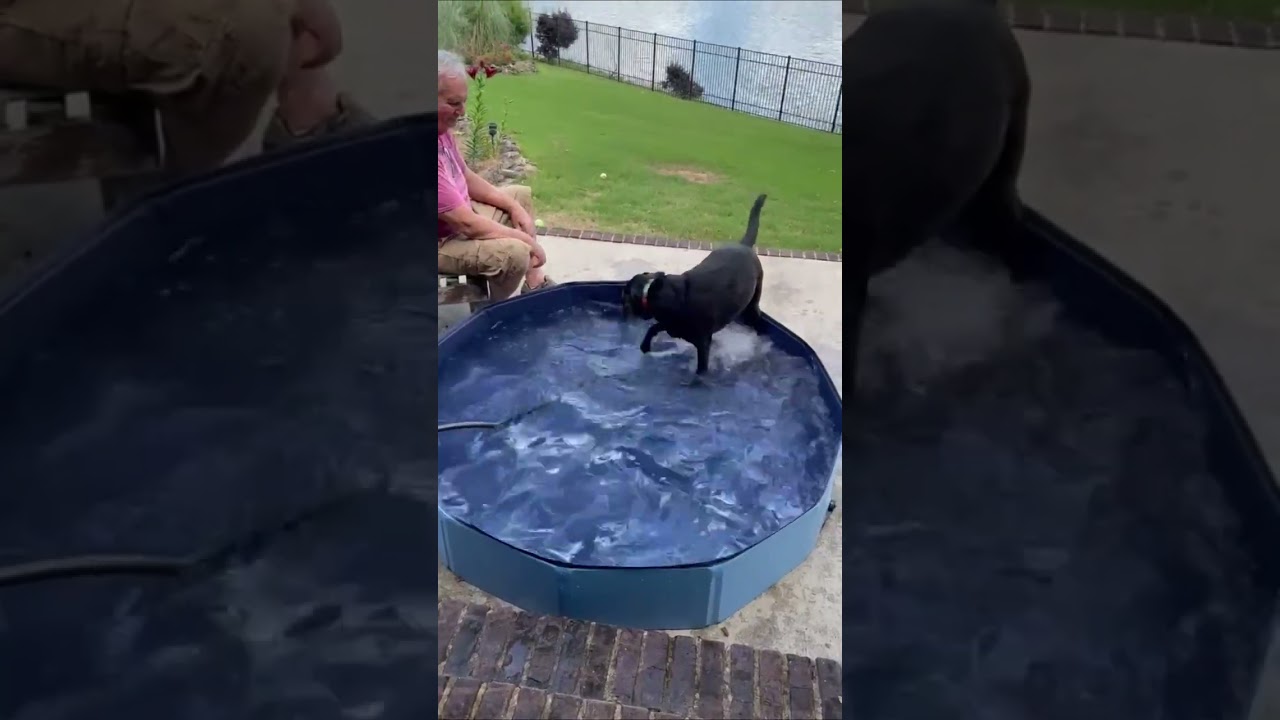 Collapsible Dog Pool for Swimming, Paddling and Playing in the Backyard