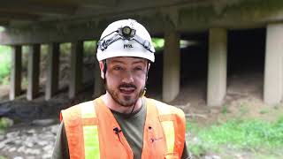 Bat Surveys - Aug. 2018