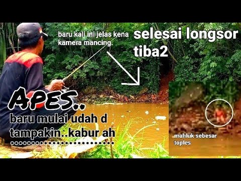 suka duka mancing liar penghuninya keluar,ga terima tempatnya di ganggu.