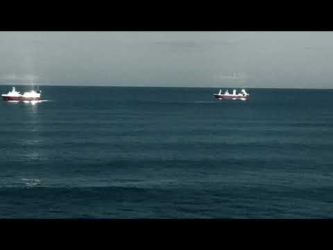 140 BPM Sampled Beat - MPC X - Arturia FX - V Collection