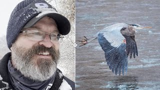 Hunting Eagles with a Camera in 25-Degree Snow