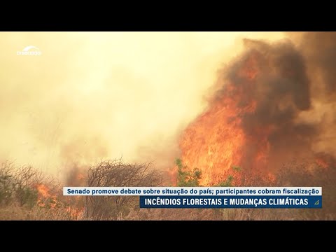 Para enfrentar queimadas, especialistas cobram recursos para órgãos ambientais