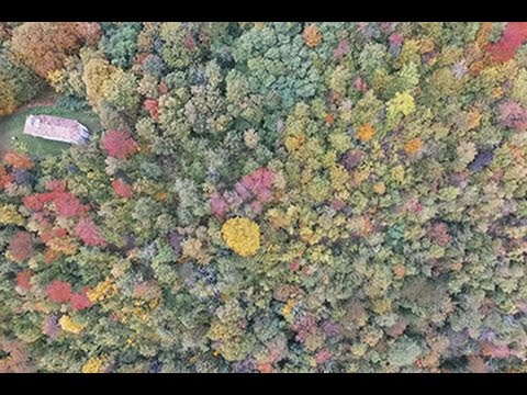 Monte San Martino da Clastra a Topolò - SentieriNatura 2016 - 36
