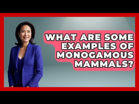 What Are Some Examples Of Monogamous Mammals? - The Wild Life Explorer