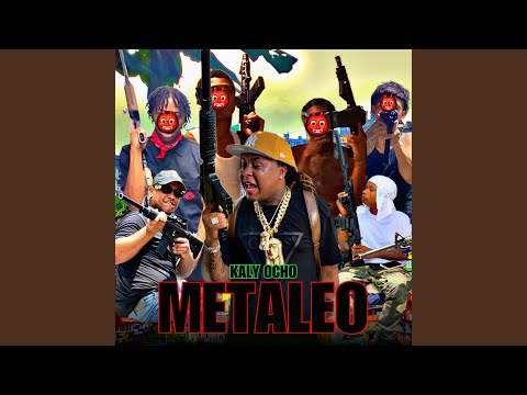 Metaleo