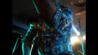 Chocolate Starfish - Mountain